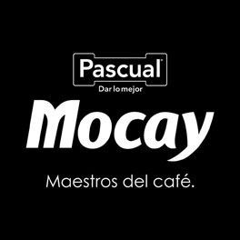 logo mocay
